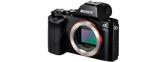 α7S E-mount Camera with Full-Frame Sensor 2