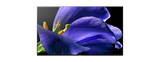 A9G | MASTER Series | OLED | 4K Ultra HD | High Dynamic Range (HDR) | Smart TV (Android TV) 10