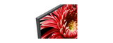 X85G | LED | 4K Ultra HD | High Dynamic Range (HDR) | Smart TV (Android TV) 3