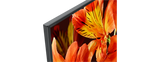 X85F| LED | 4K Ultra HD | High Dynamic Range (HDR) | Smart TV (Android TV) 6