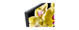 X80G | LED | 4K Ultra HD | High Dynamic Range (HDR) | Smart TV (Android TV) 4