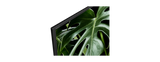 W66G | LED | Full HD | High Dynamic Range (HDR) | Smart TV 3